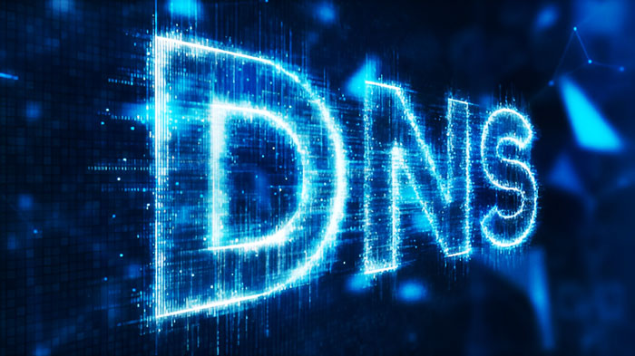 Domain Name System (DNS): Basics, Types, and Function